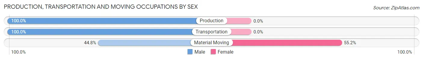 Production, Transportation and Moving Occupations by Sex in Zip Code 30234