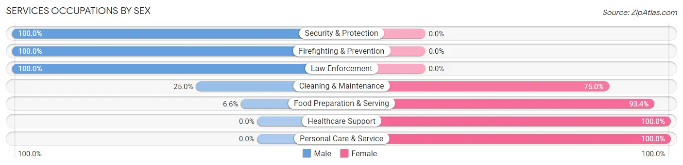 Services Occupations by Sex in Zip Code 30234