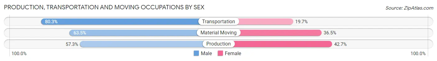 Production, Transportation and Moving Occupations by Sex in Zip Code 30236