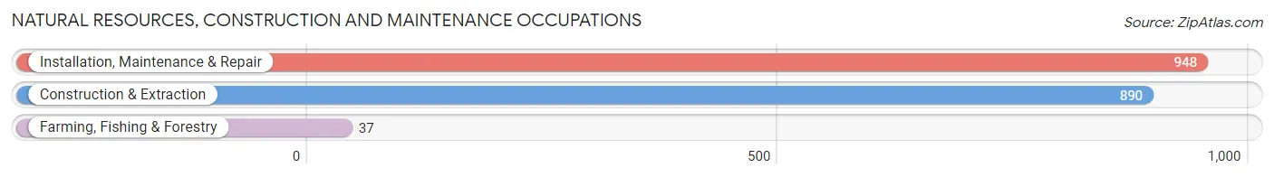 Natural Resources, Construction and Maintenance Occupations in Zip Code 30238