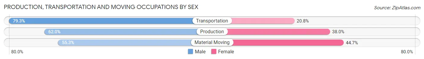 Production, Transportation and Moving Occupations by Sex in Zip Code 30241