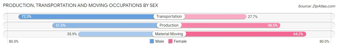 Production, Transportation and Moving Occupations by Sex in Zip Code 30251