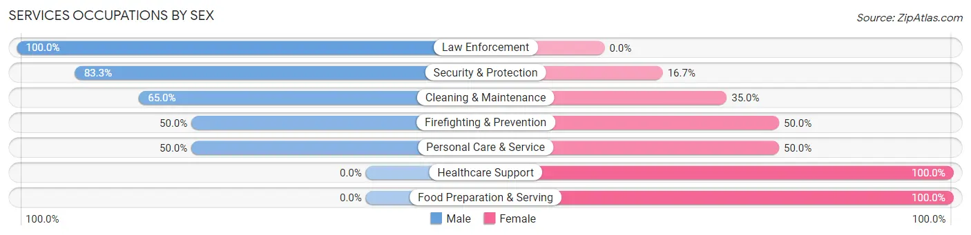 Services Occupations by Sex in Zip Code 30251