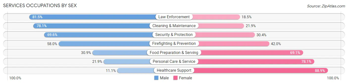 Services Occupations by Sex in Zip Code 30253