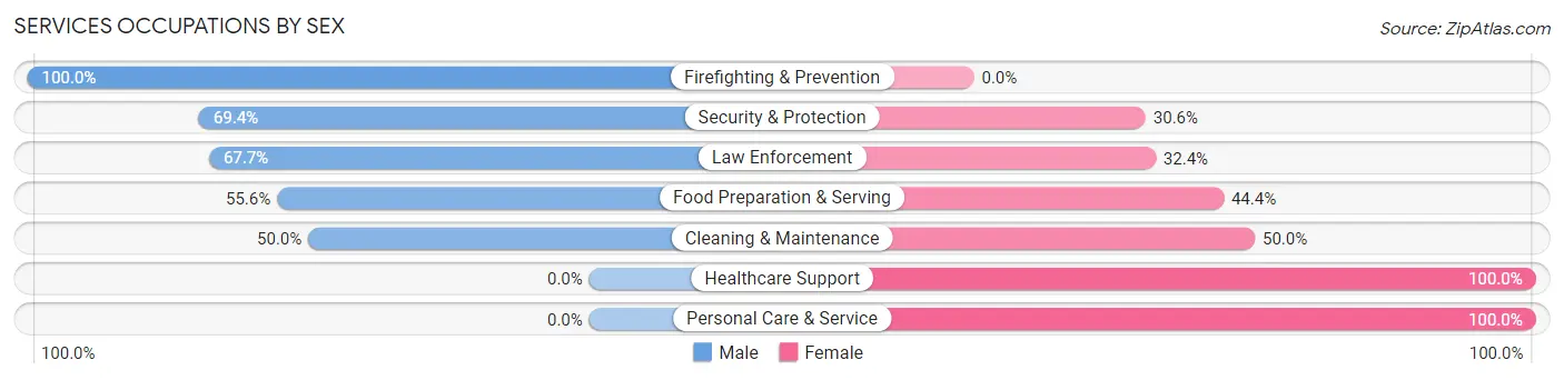 Services Occupations by Sex in Zip Code 30258