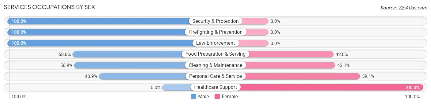 Services Occupations by Sex in Zip Code 30259