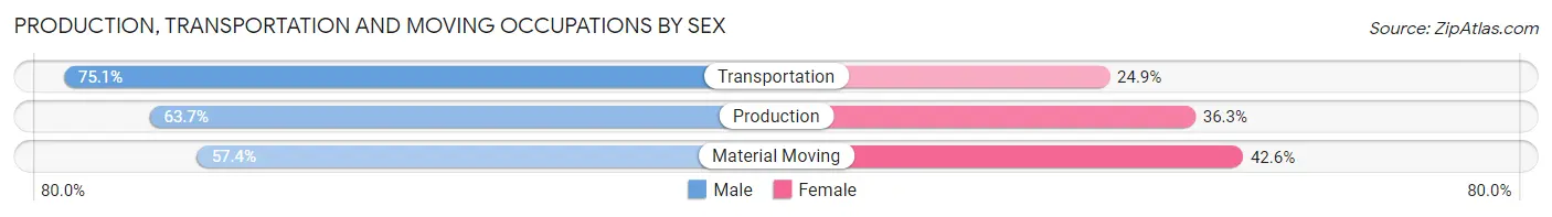 Production, Transportation and Moving Occupations by Sex in Zip Code 30260