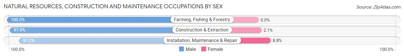 Natural Resources, Construction and Maintenance Occupations by Sex in Zip Code 30274