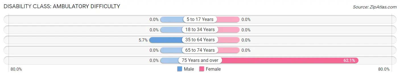 Disability in Zip Code 30285: <span>Ambulatory Difficulty</span>