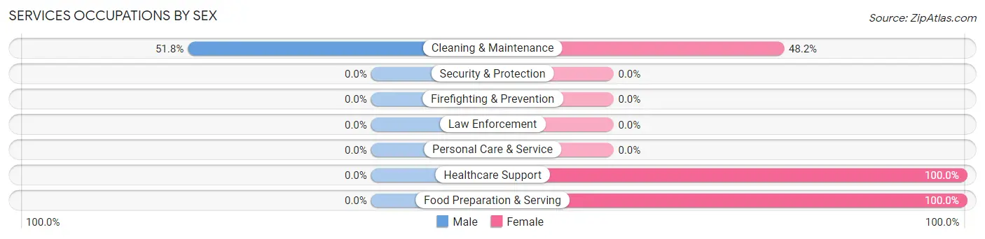 Services Occupations by Sex in Zip Code 30285