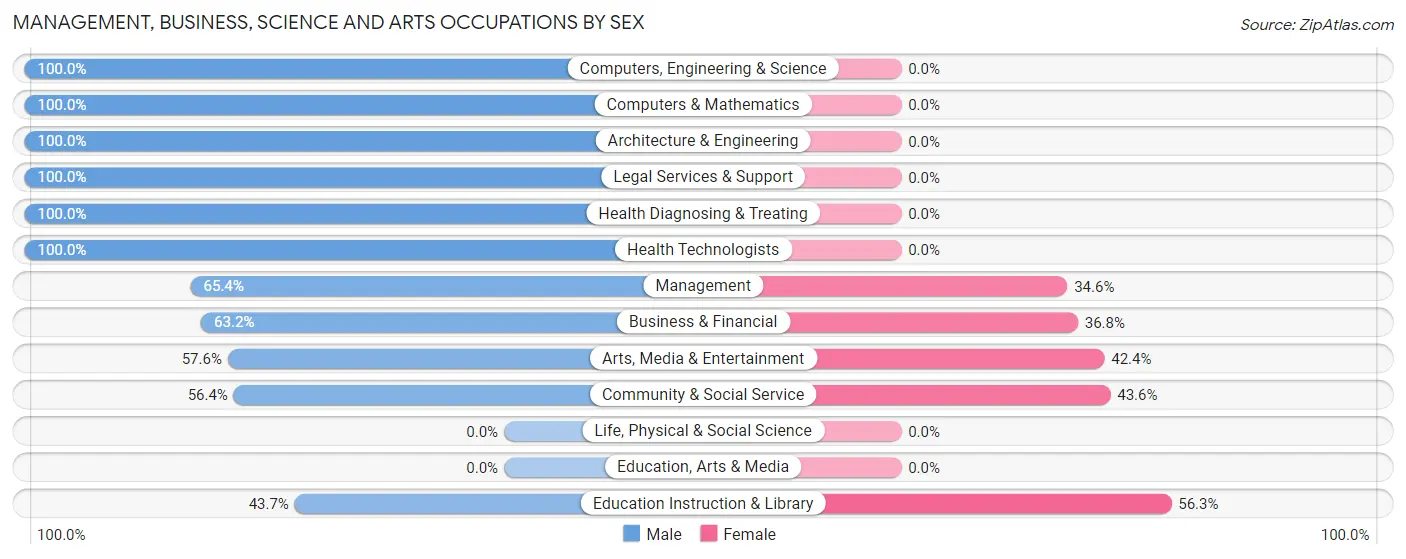 Management, Business, Science and Arts Occupations by Sex in Zip Code 30303