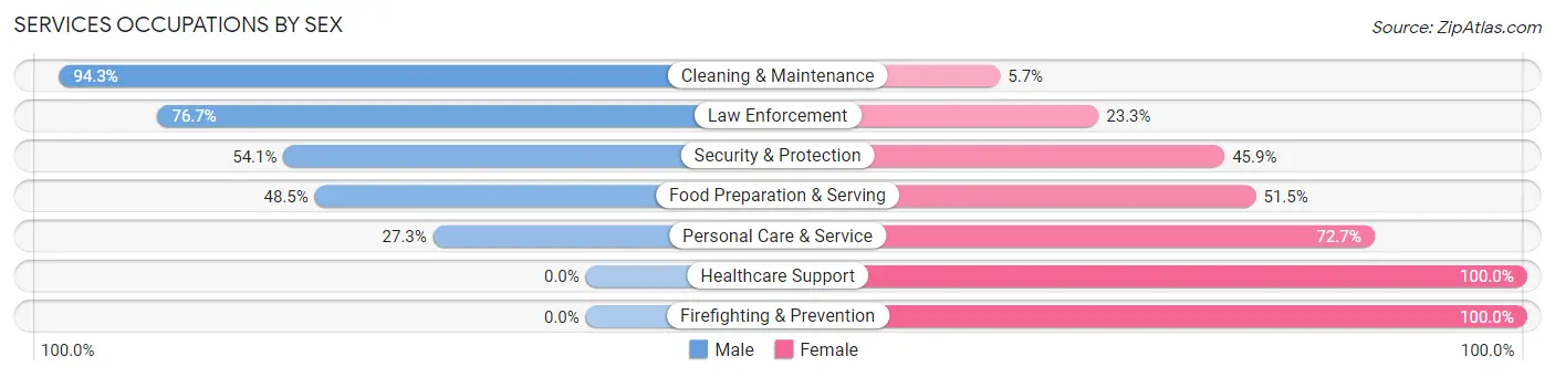 Services Occupations by Sex in Zip Code 30305