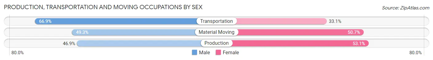 Production, Transportation and Moving Occupations by Sex in Zip Code 30306
