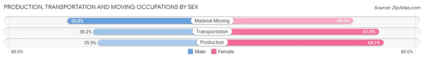 Production, Transportation and Moving Occupations by Sex in Zip Code 30319