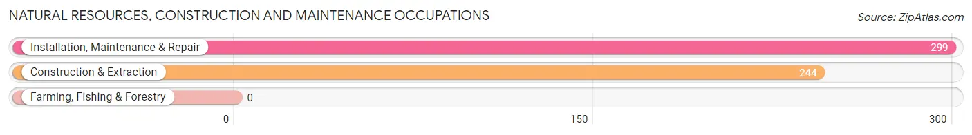 Natural Resources, Construction and Maintenance Occupations in Zip Code 30328