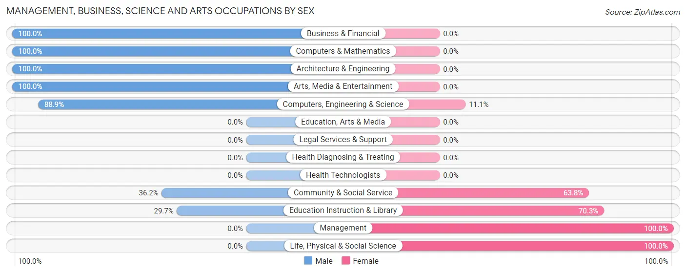 Management, Business, Science and Arts Occupations by Sex in Zip Code 30332