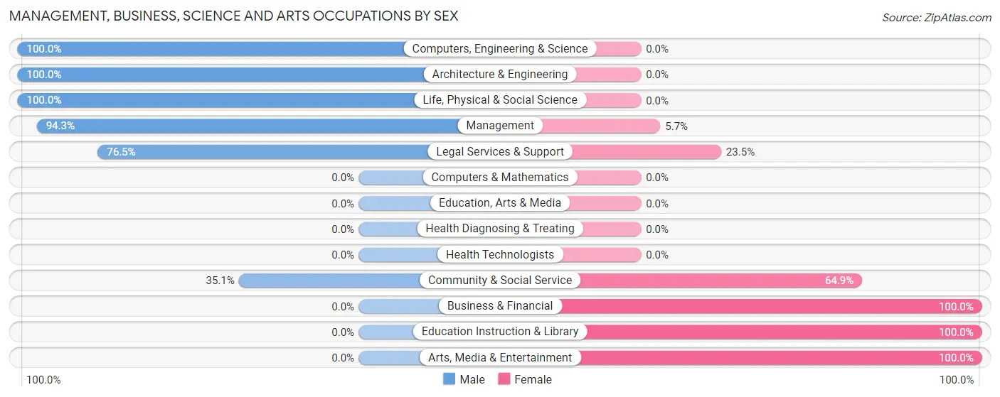 Management, Business, Science and Arts Occupations by Sex in Zip Code 30413
