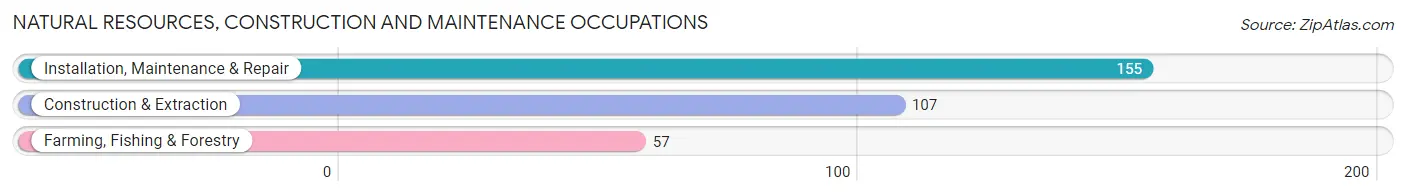 Natural Resources, Construction and Maintenance Occupations in Zip Code 30415