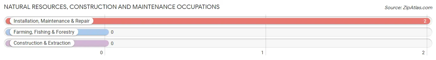 Natural Resources, Construction and Maintenance Occupations in Zip Code 30423