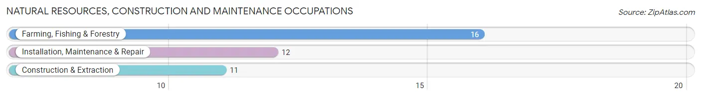 Natural Resources, Construction and Maintenance Occupations in Zip Code 30426