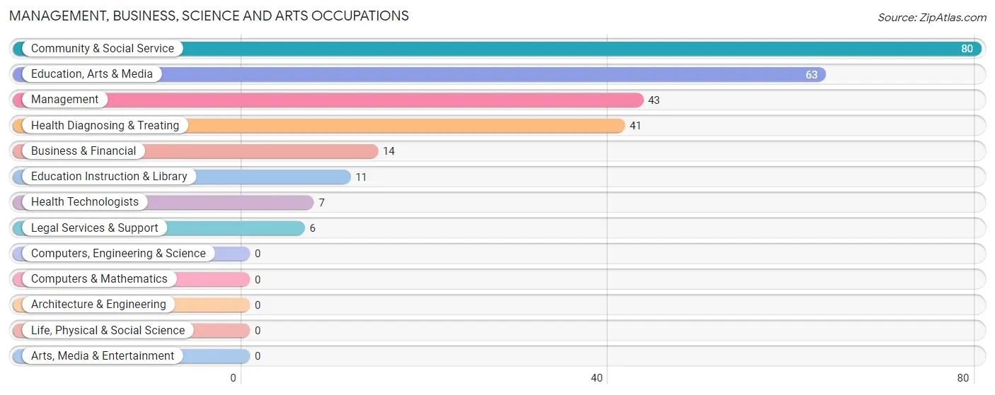 Management, Business, Science and Arts Occupations in Zip Code 30428