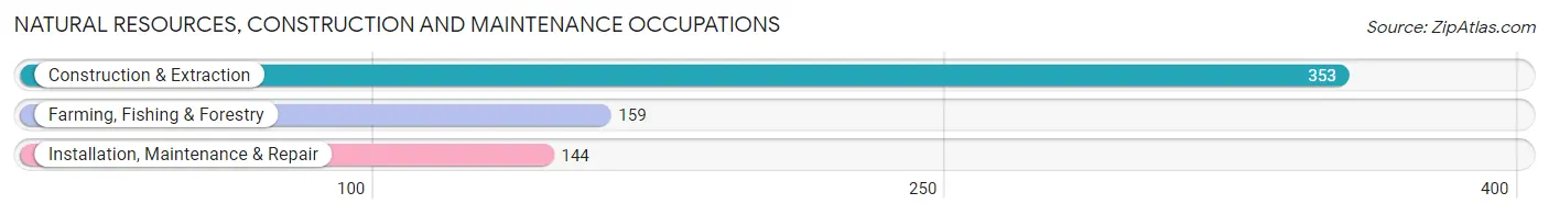 Natural Resources, Construction and Maintenance Occupations in Zip Code 30436