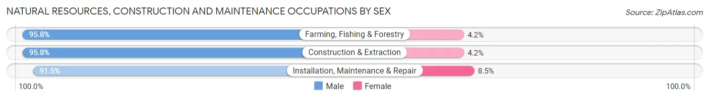 Natural Resources, Construction and Maintenance Occupations by Sex in Zip Code 30439