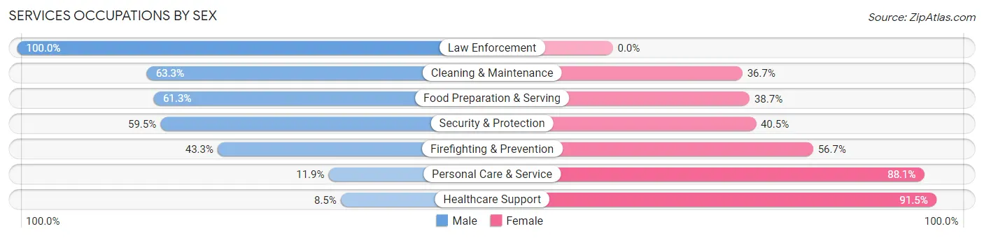 Services Occupations by Sex in Zip Code 30501