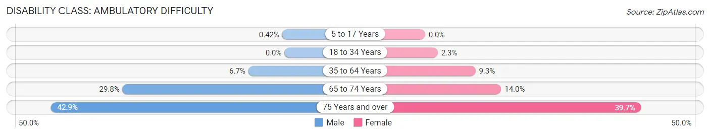 Disability in Zip Code 30507: <span>Ambulatory Difficulty</span>