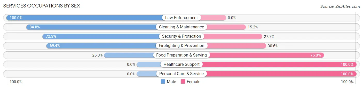 Services Occupations by Sex in Zip Code 30510