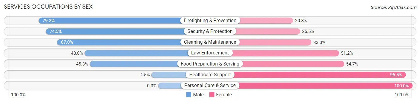 Services Occupations by Sex in Zip Code 30519