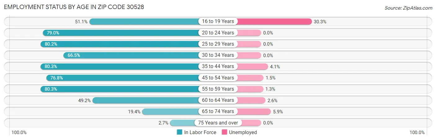 Employment Status by Age in Zip Code 30528