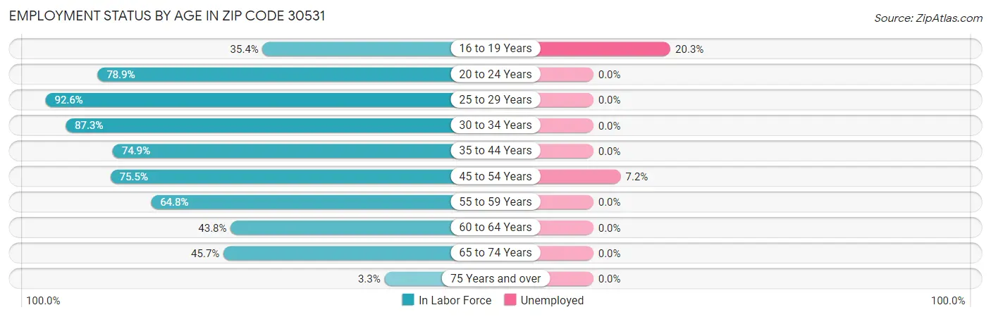 Employment Status by Age in Zip Code 30531
