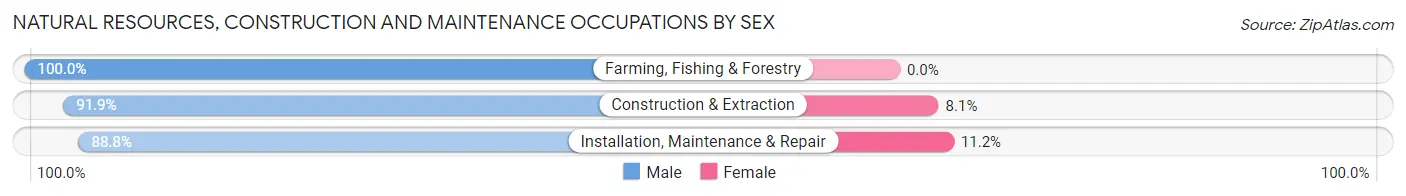 Natural Resources, Construction and Maintenance Occupations by Sex in Zip Code 30531