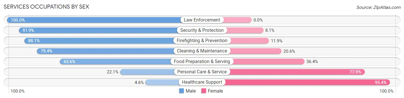 Services Occupations by Sex in Zip Code 30531