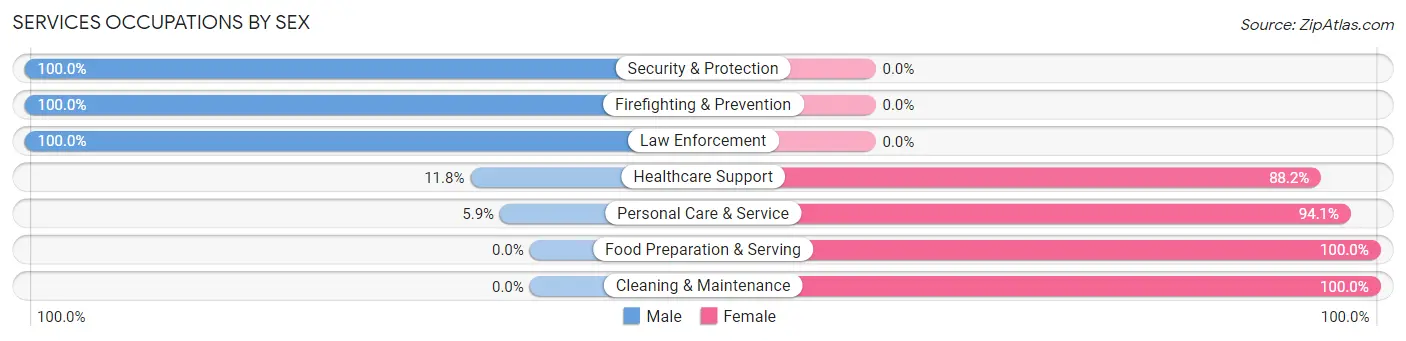 Services Occupations by Sex in Zip Code 30537