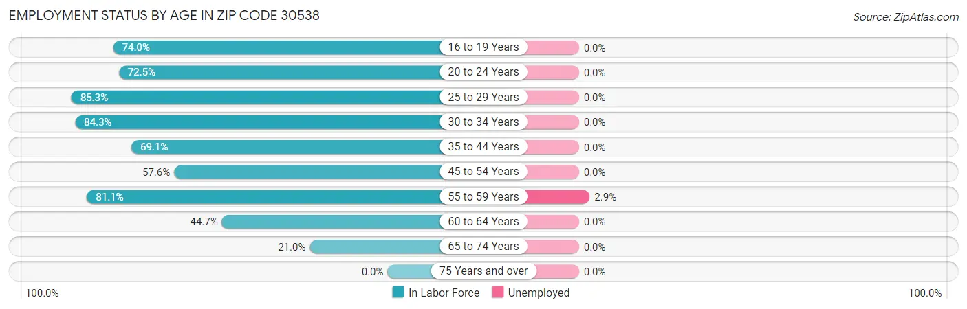 Employment Status by Age in Zip Code 30538
