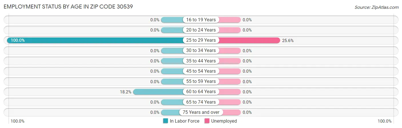 Employment Status by Age in Zip Code 30539