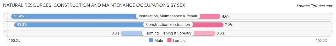 Natural Resources, Construction and Maintenance Occupations by Sex in Zip Code 30566