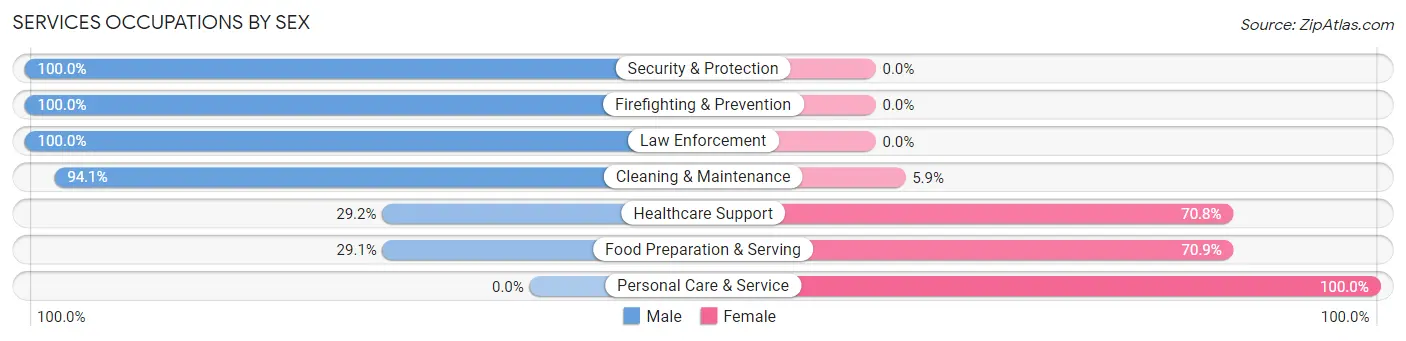 Services Occupations by Sex in Zip Code 30567