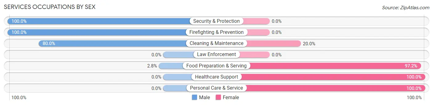 Services Occupations by Sex in Zip Code 30575