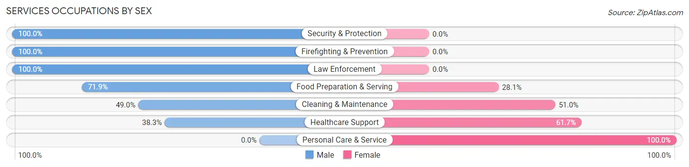 Services Occupations by Sex in Zip Code 30576