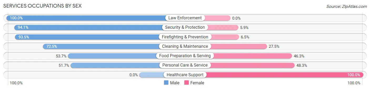 Services Occupations by Sex in Zip Code 30582