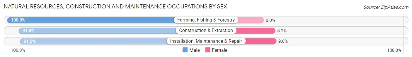 Natural Resources, Construction and Maintenance Occupations by Sex in Zip Code 30607