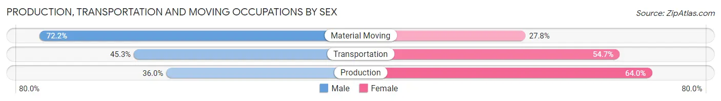 Production, Transportation and Moving Occupations by Sex in Zip Code 30607