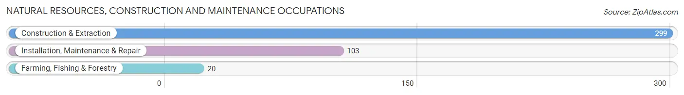 Natural Resources, Construction and Maintenance Occupations in Zip Code 30624