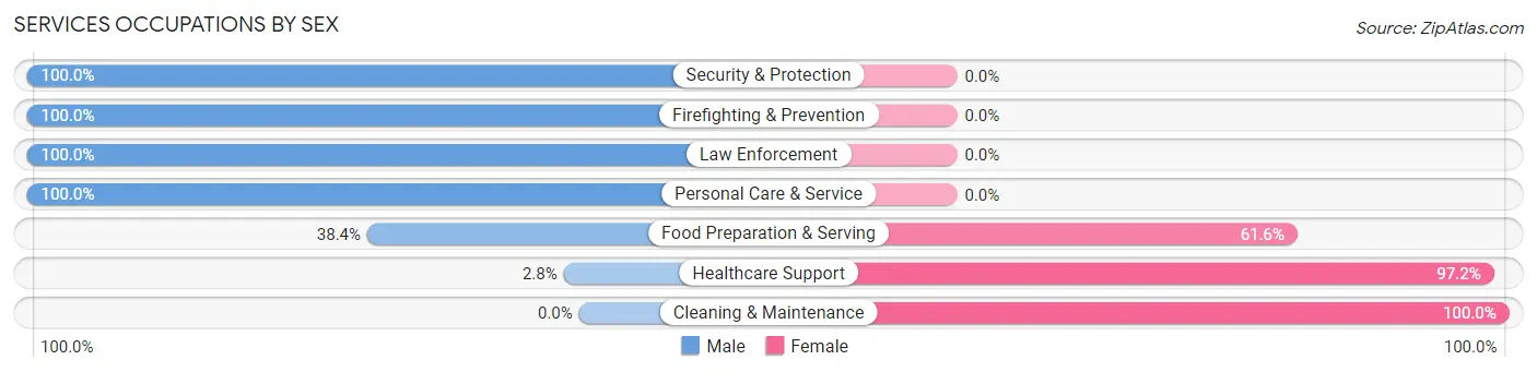 Services Occupations by Sex in Zip Code 30624