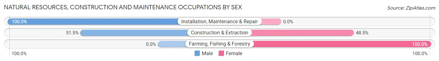 Natural Resources, Construction and Maintenance Occupations by Sex in Zip Code 30625