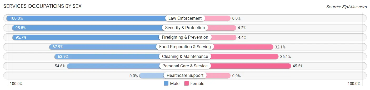 Services Occupations by Sex in Zip Code 30627