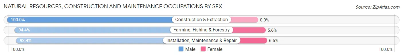 Natural Resources, Construction and Maintenance Occupations by Sex in Zip Code 30629